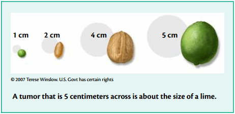 How big is a centimeter?